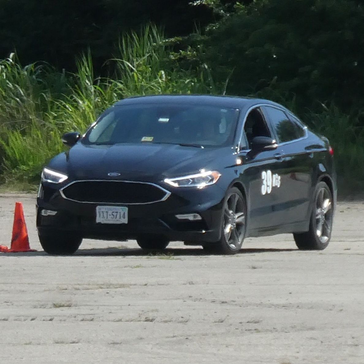 Profile of Sandra Fehr