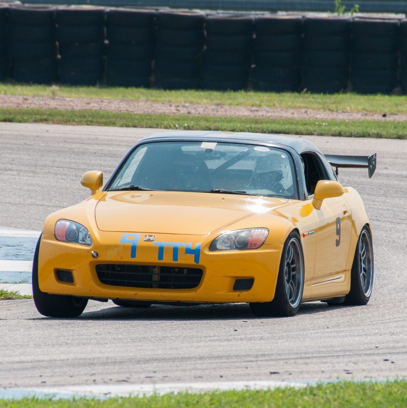 Profile of Kurt Thomsen