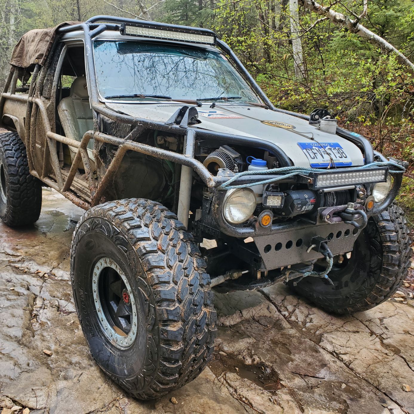 Profile of Eric McCollum