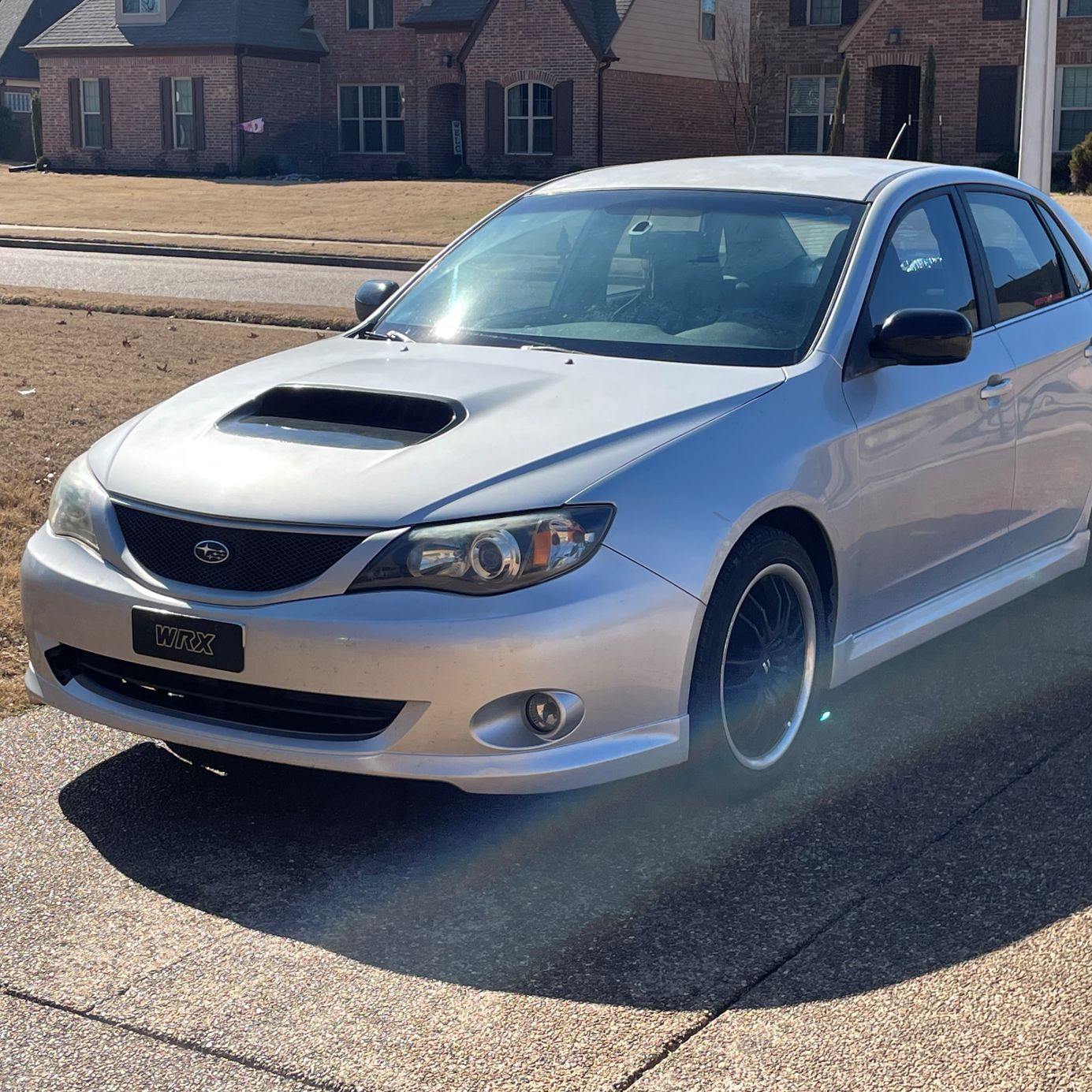 Profile of Nicholas Cambio