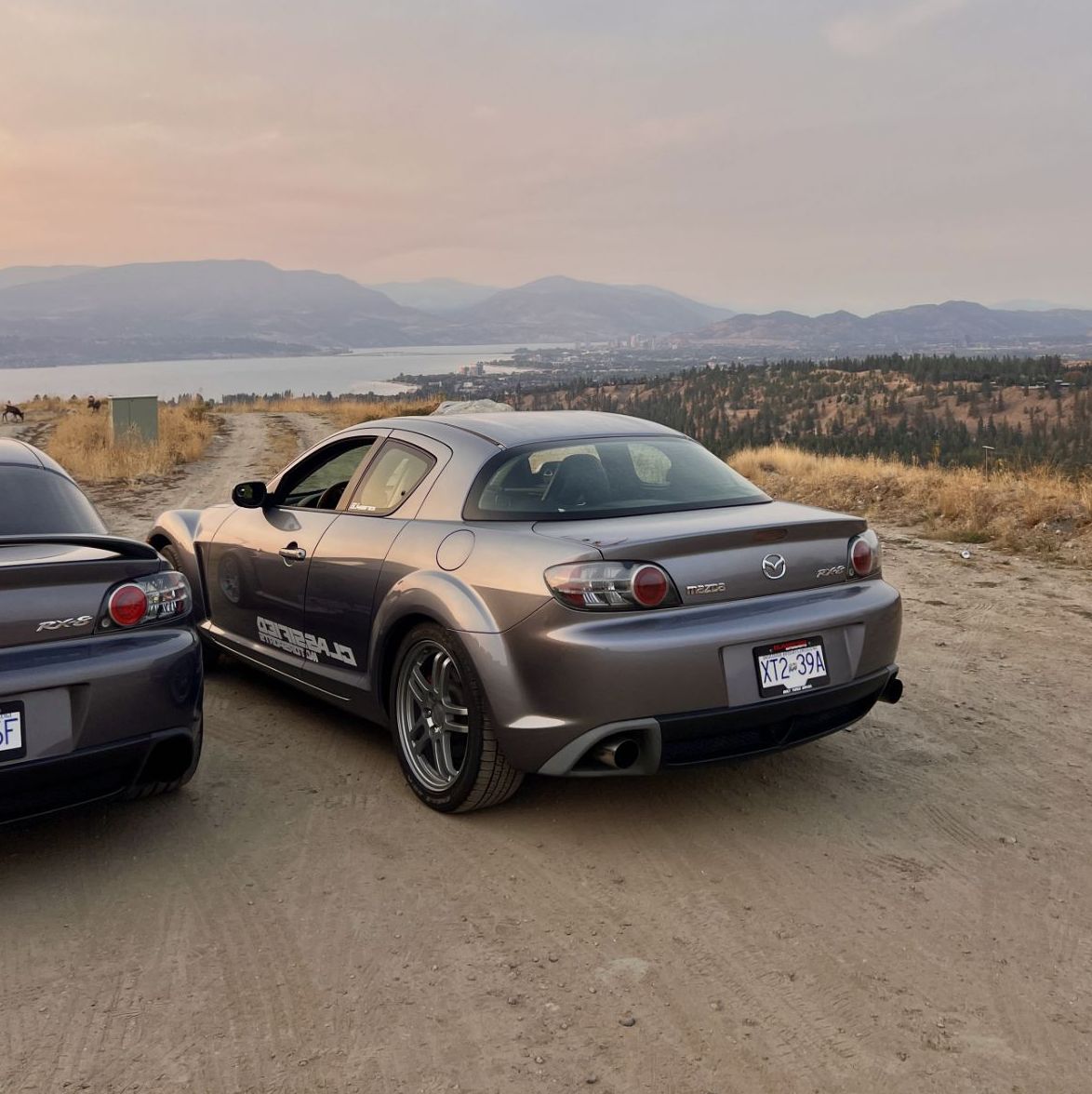 Profile of Gloria Romain