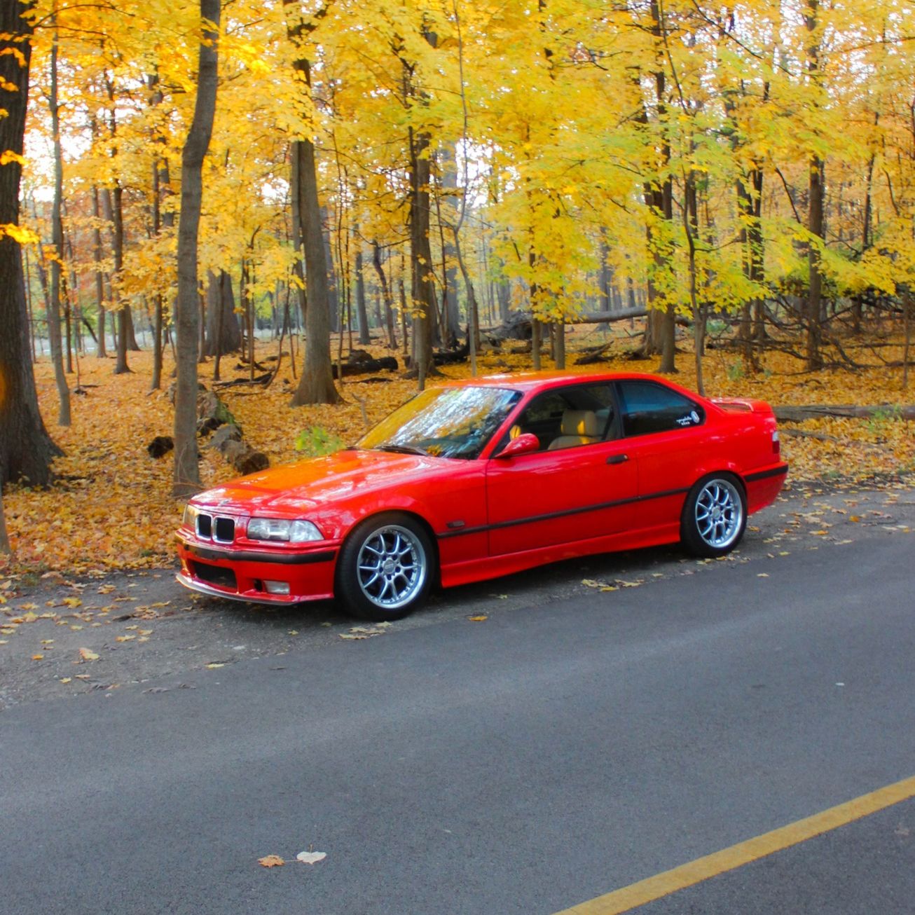 Profile of Trevor Raymond