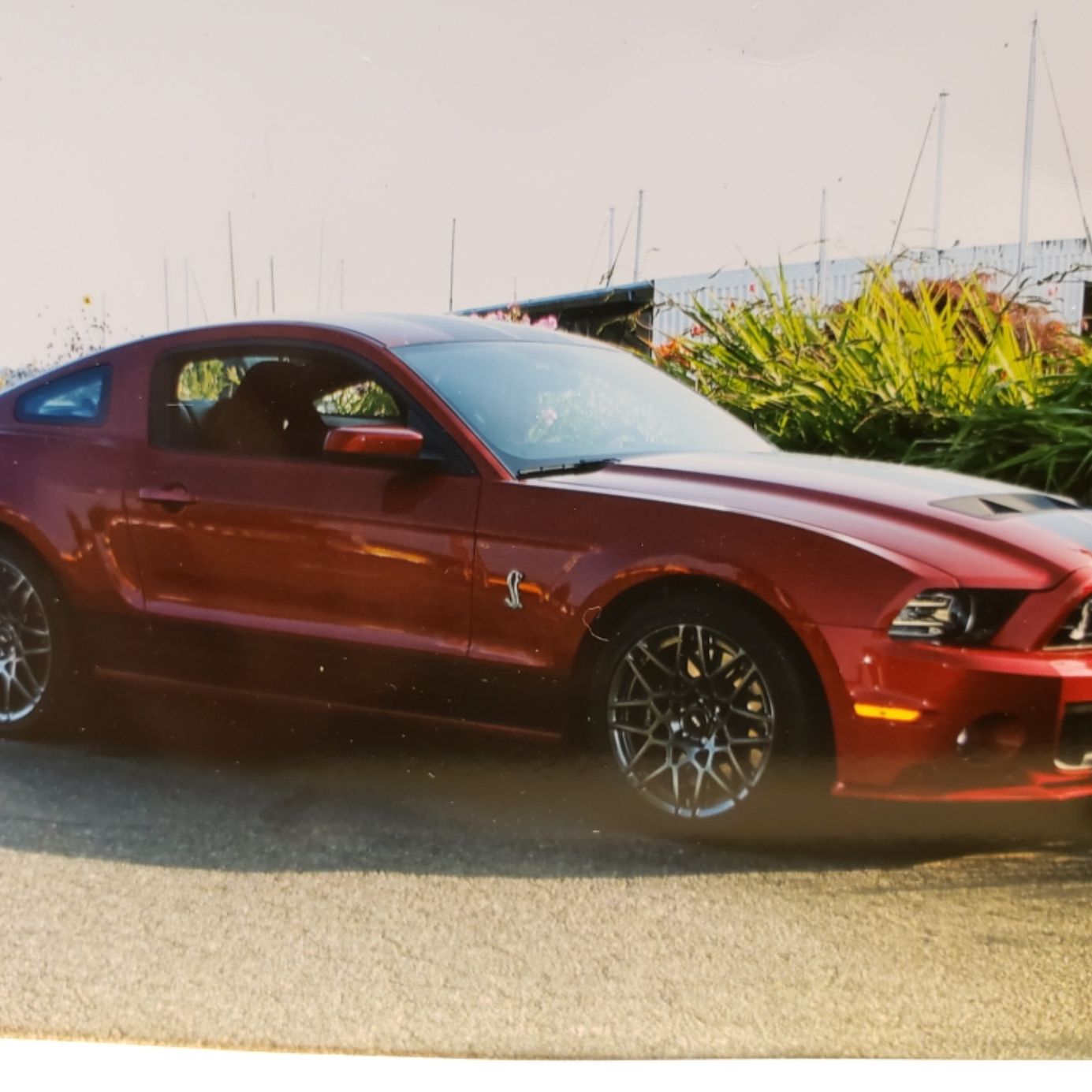 Profile of Mike Rasmussen