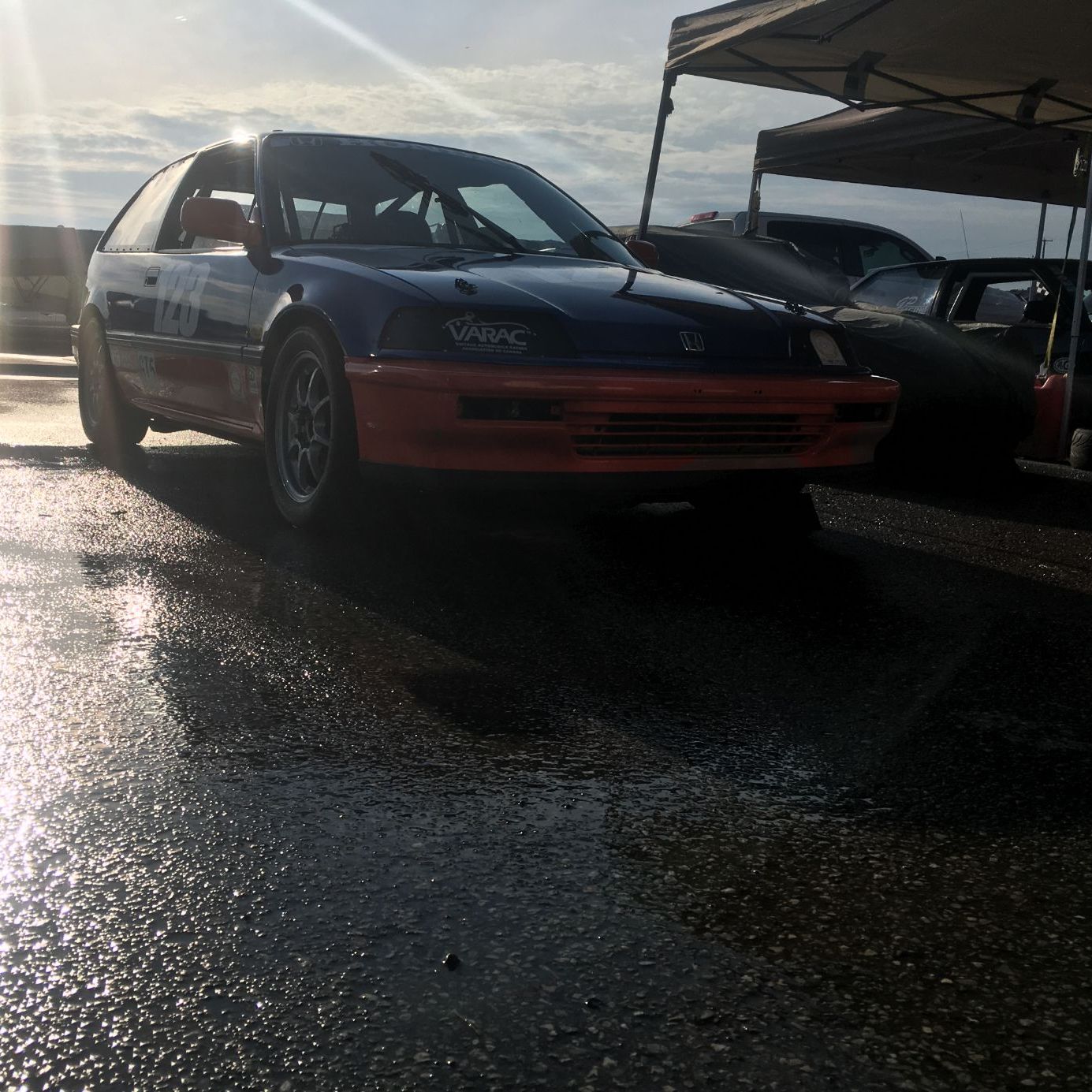 Profile of Sean Gibson