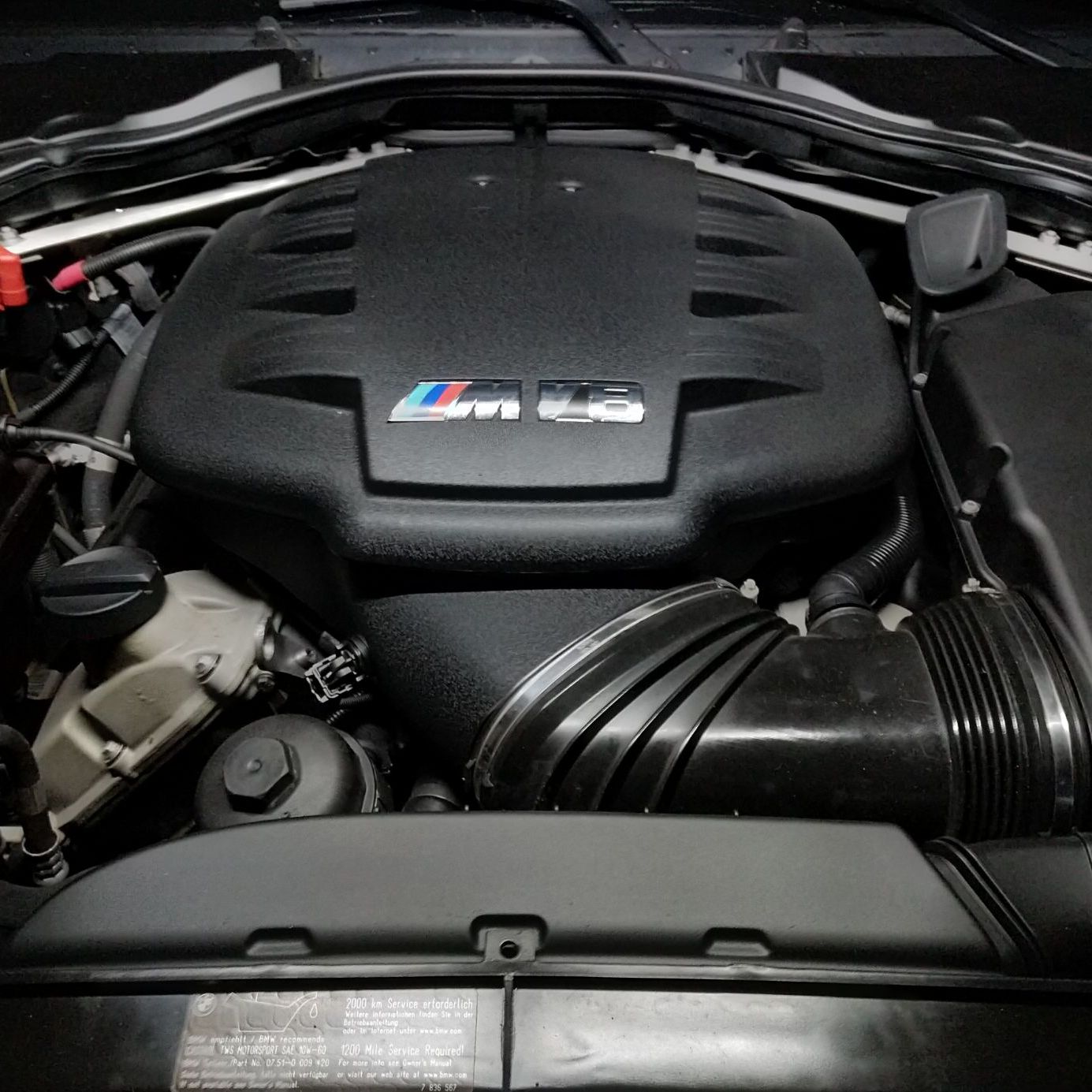 Profile of Collin Burrows