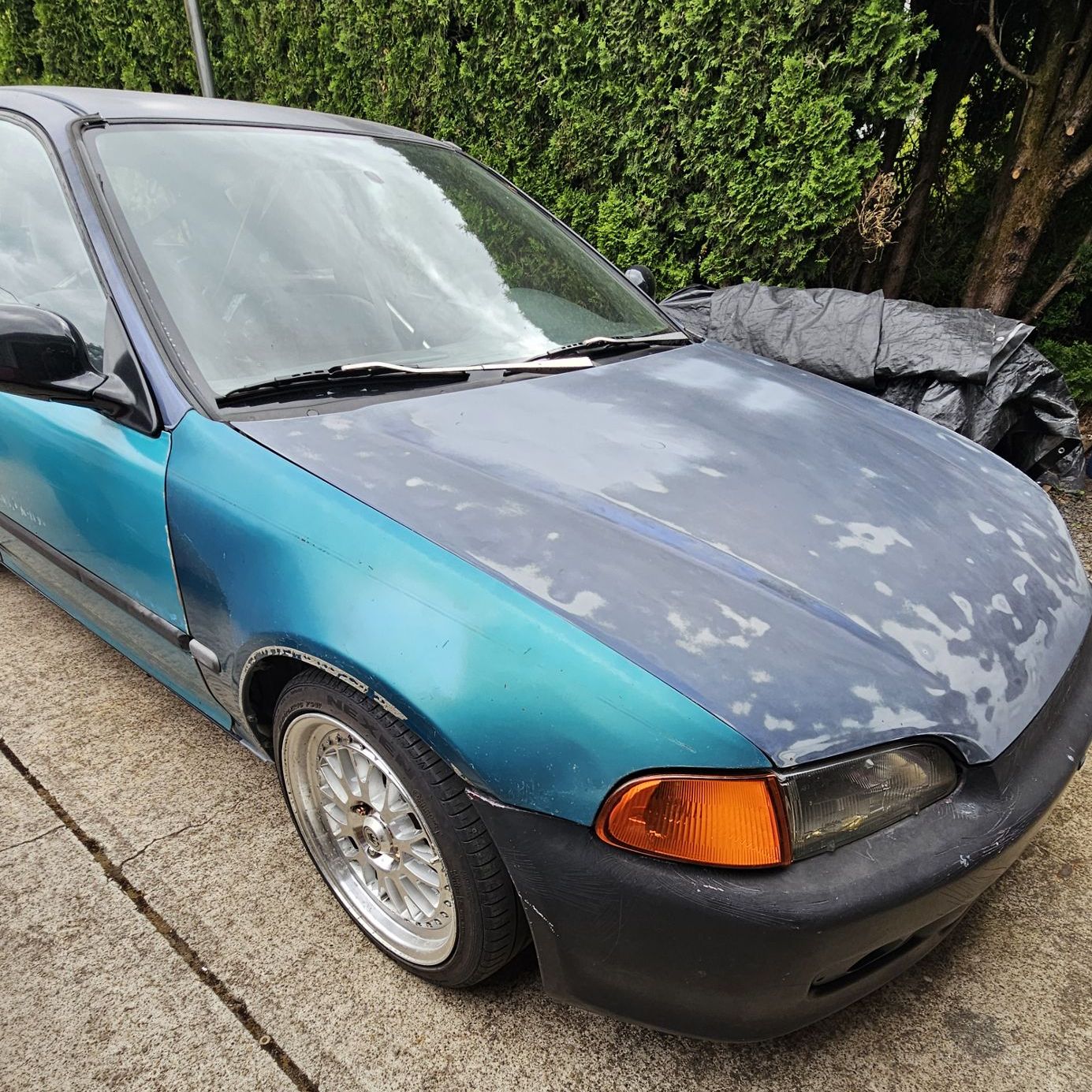 Profile of Andy Bittrolf