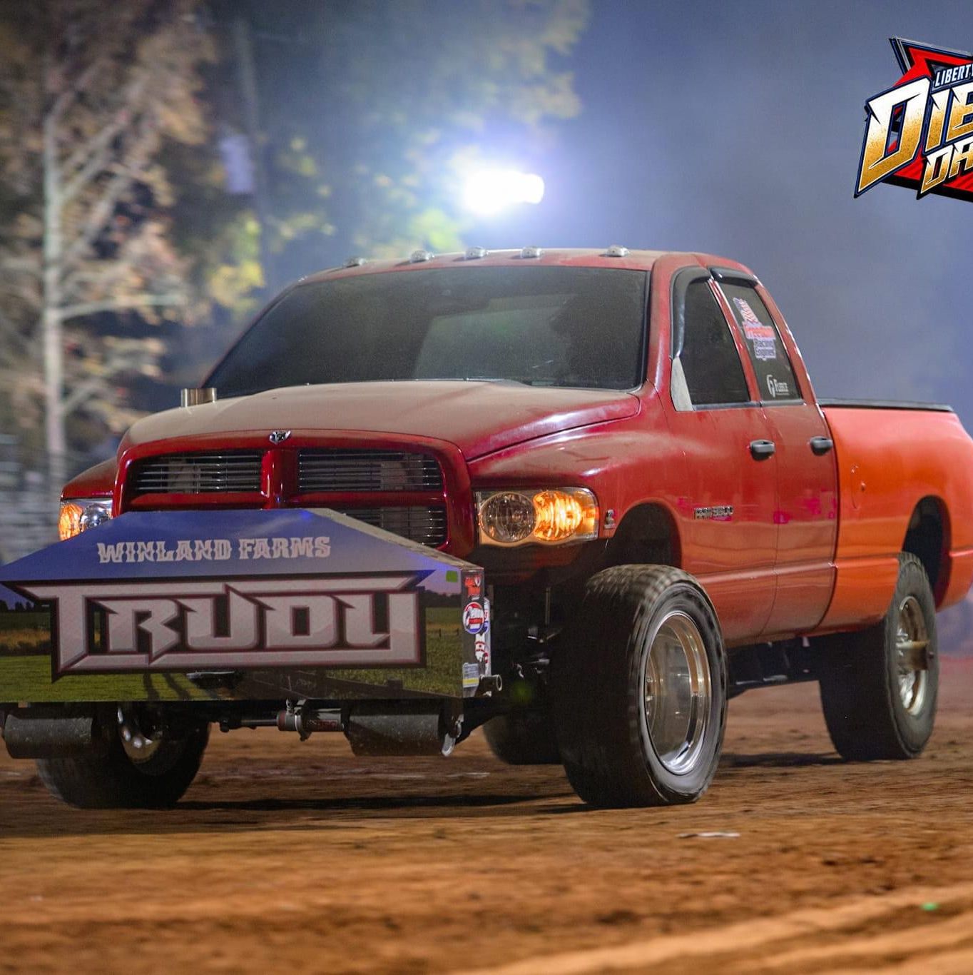 Profile of Damon Winland