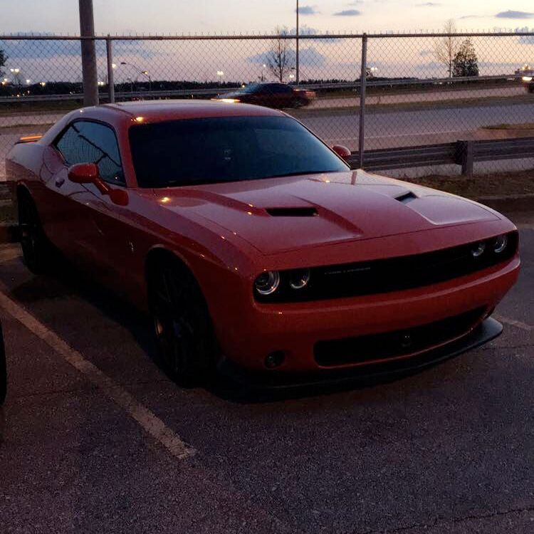 Profile of Mike D'Ancona