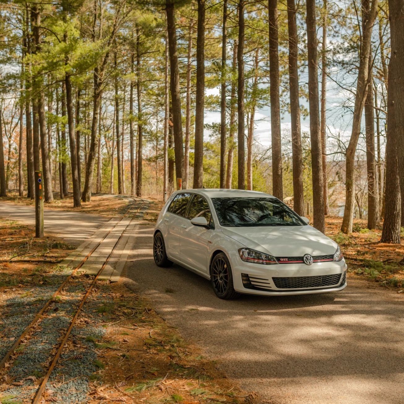 Profile of Kody Nowak