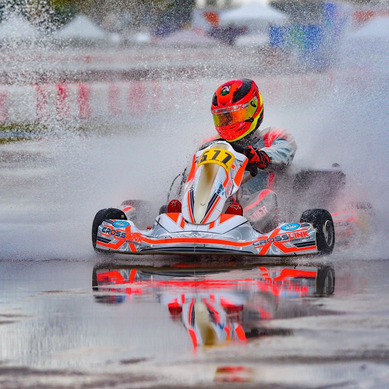 Profile of Miguel Mier