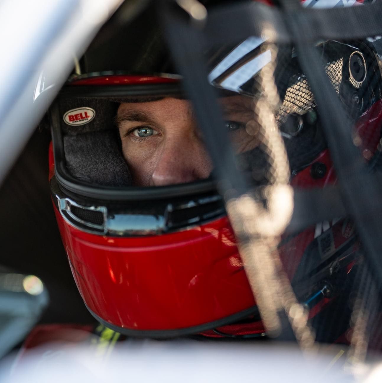 Profile of Brad Kellett