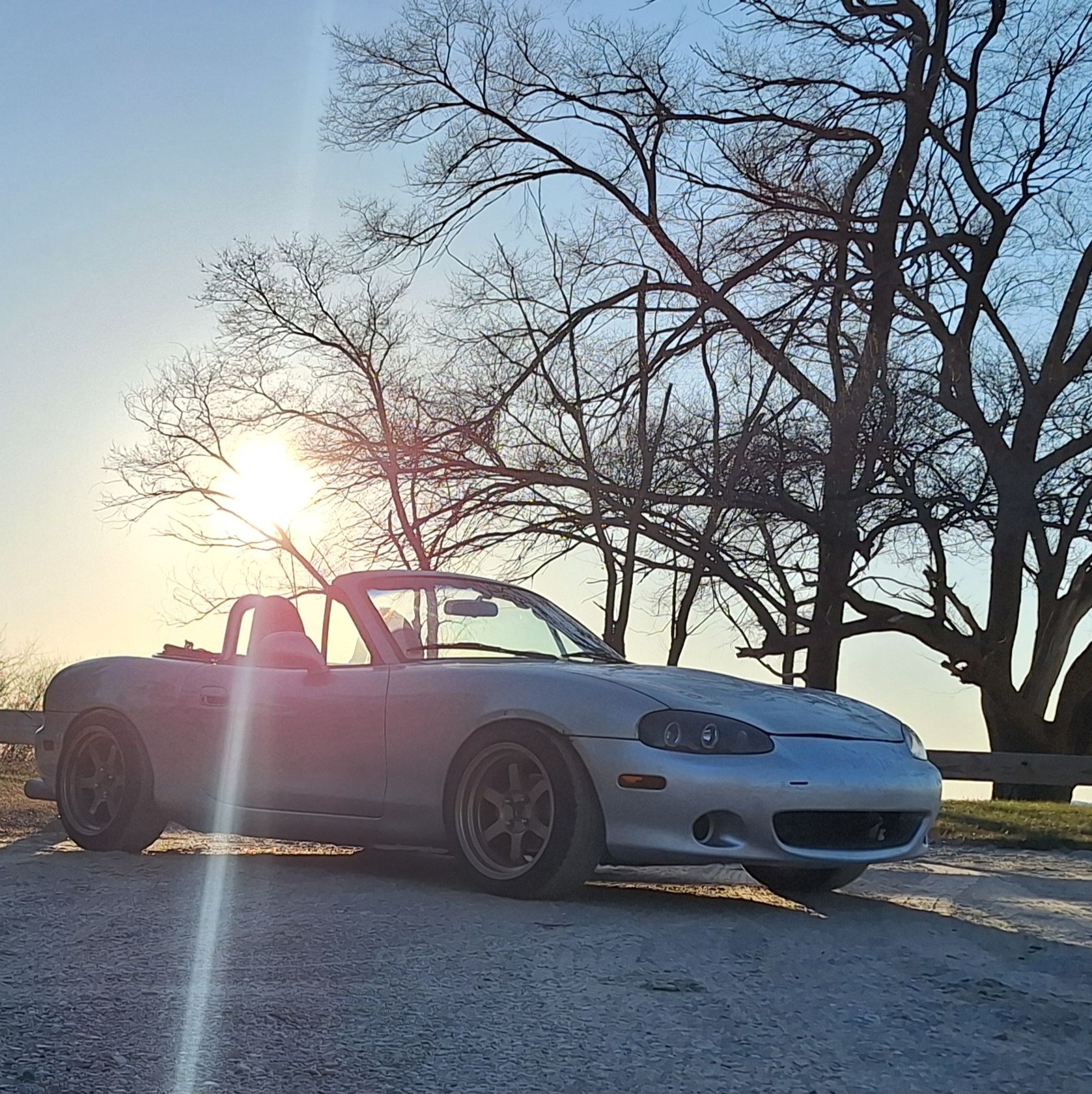 Profile of Mike Girard