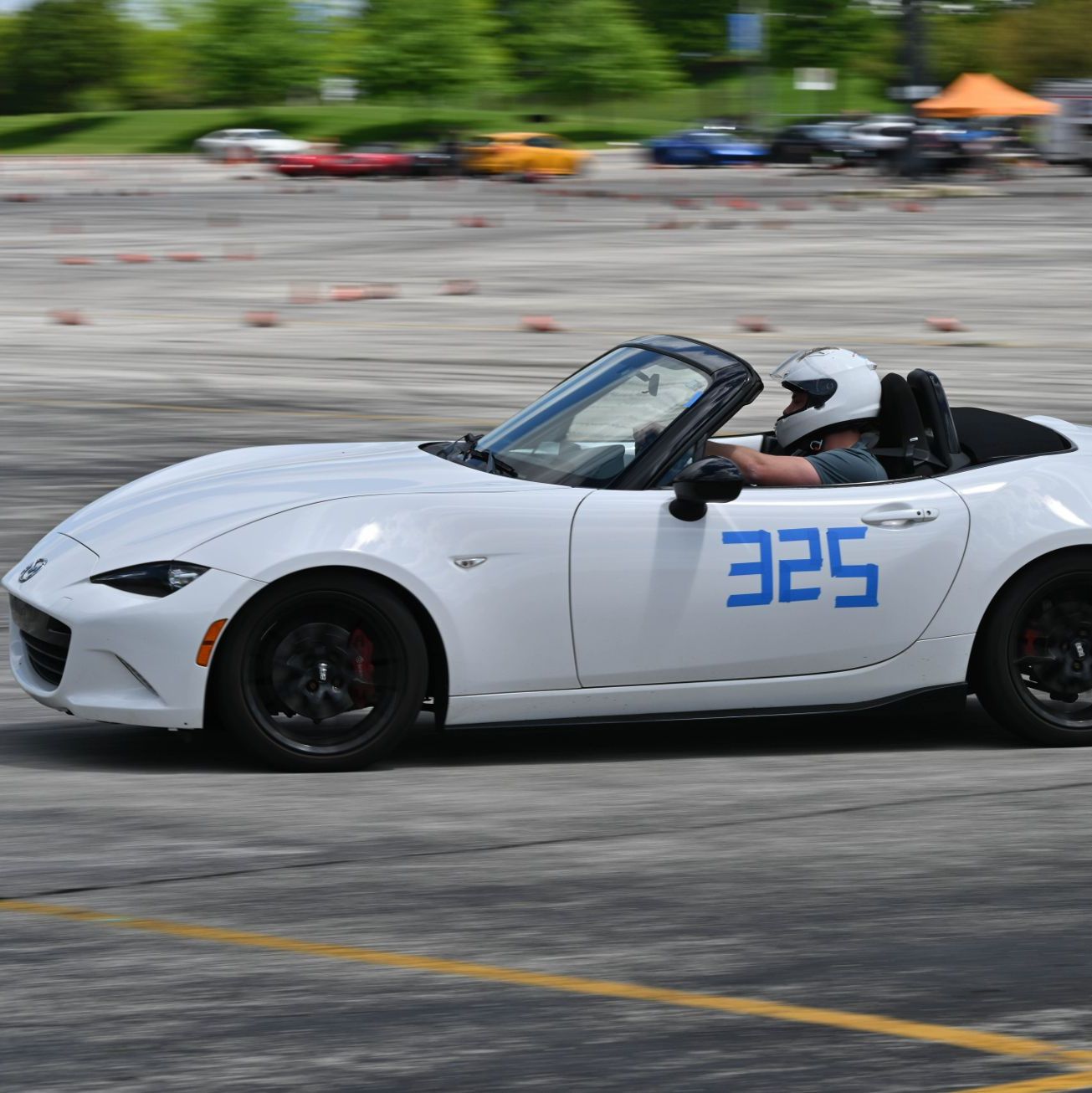 Profile of George Sak