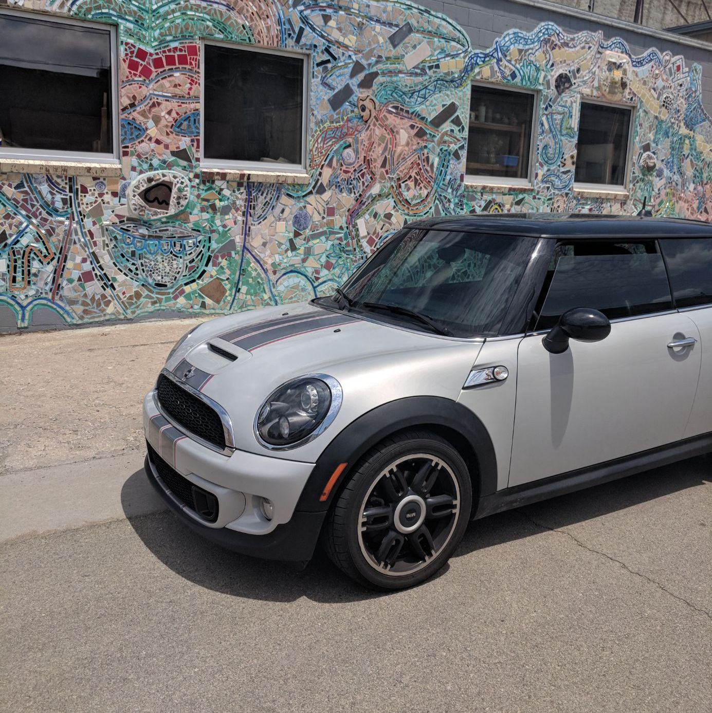 Profile of Allie Langengeld