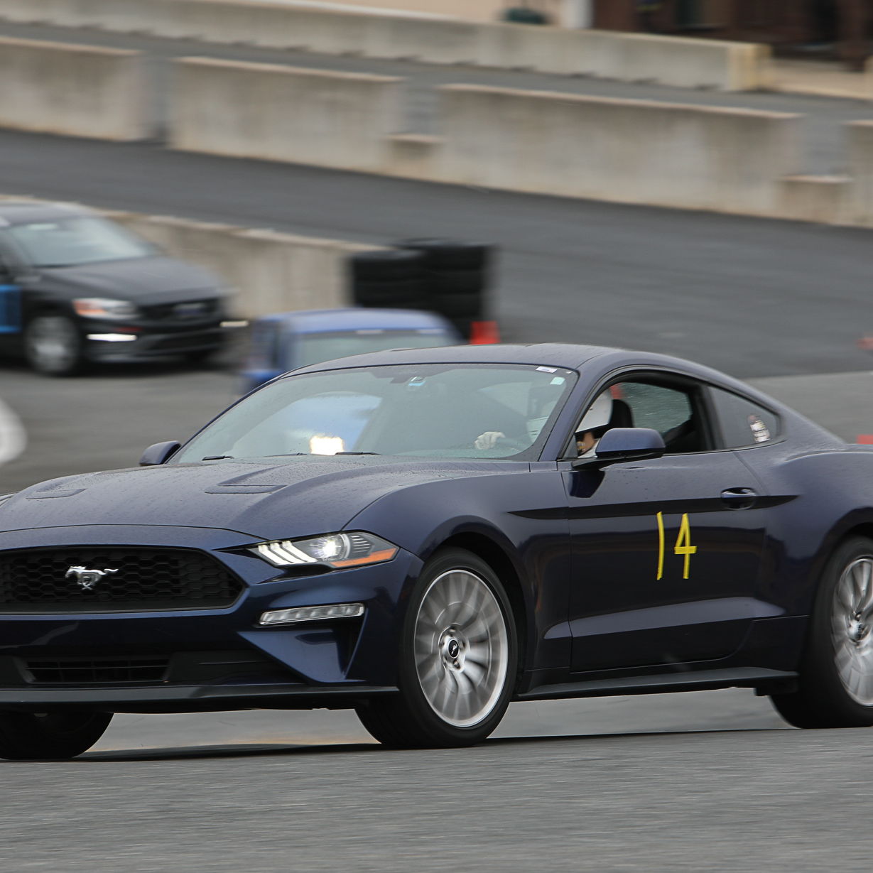 Profile of Kevin Kim