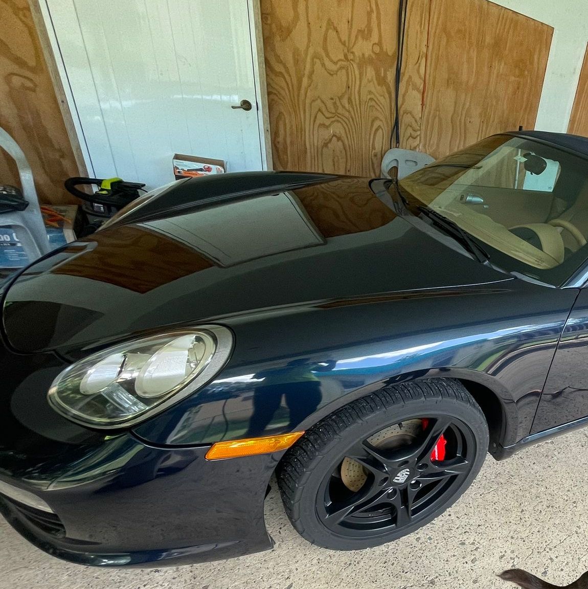 Profile of Steven Flores Llanos