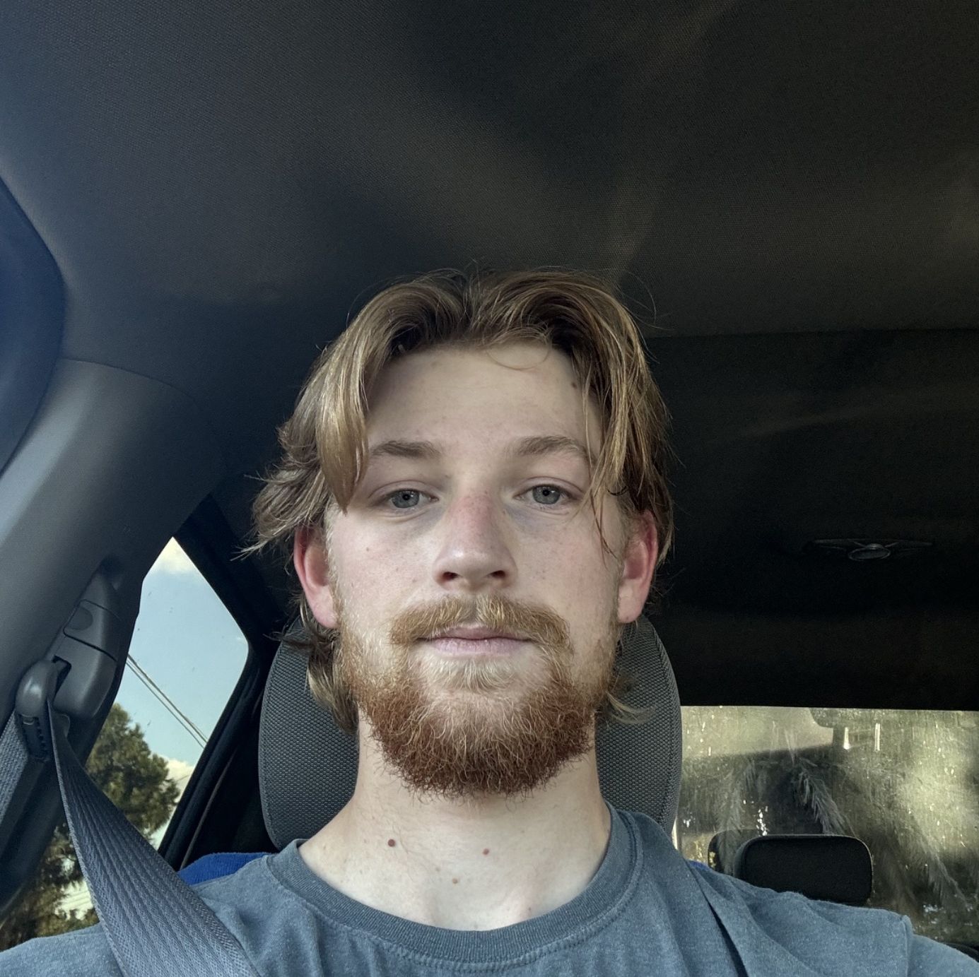 Profile of Travis McIntosh