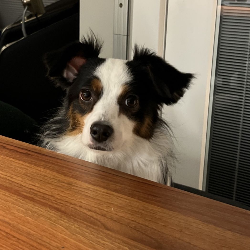 Profile of Jonathan van Deventer