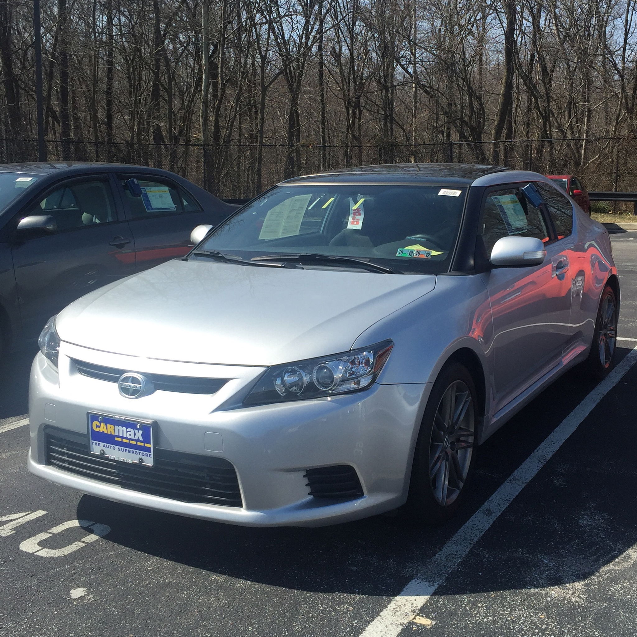 Profile of Natalia Banks