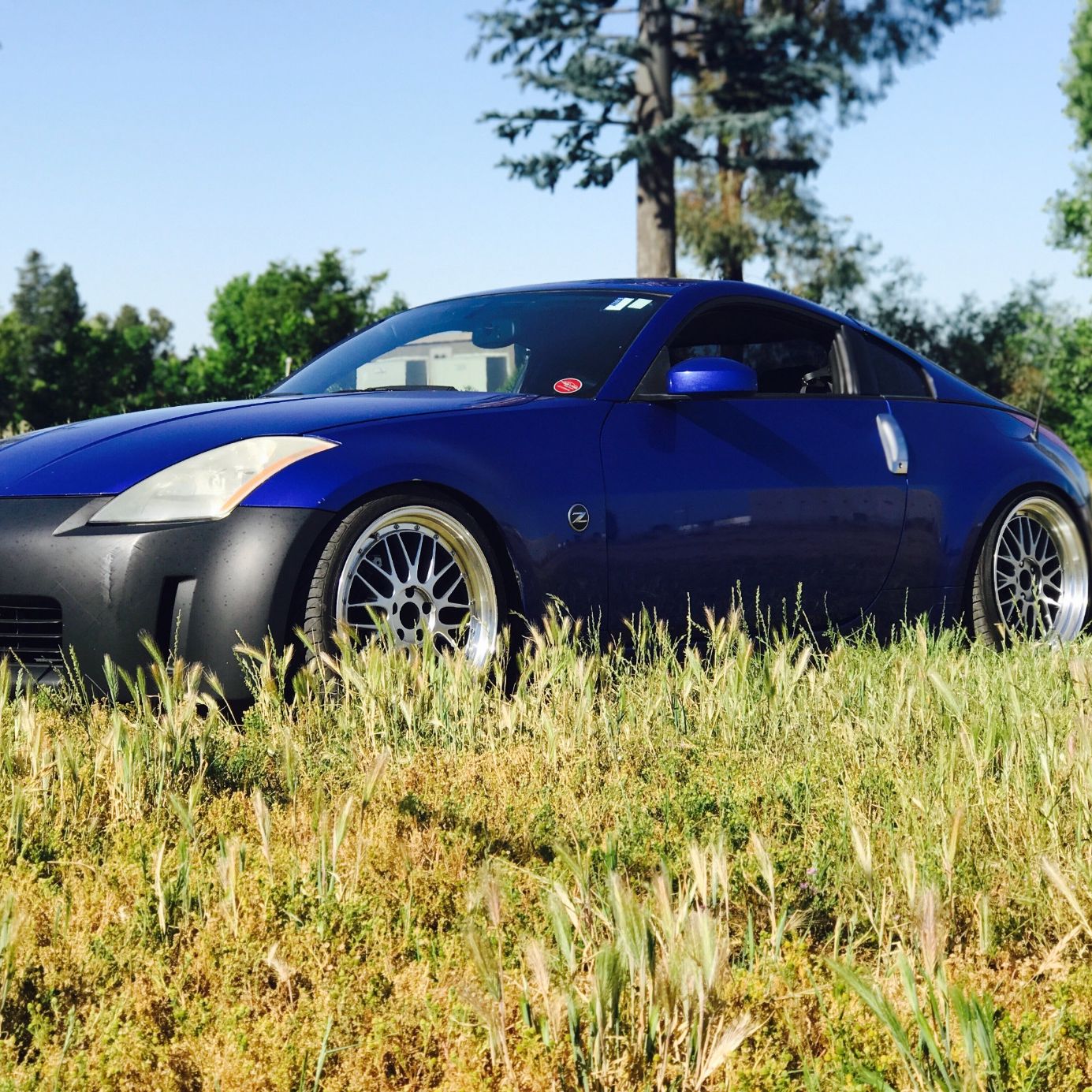 Profile of Trevor Graham