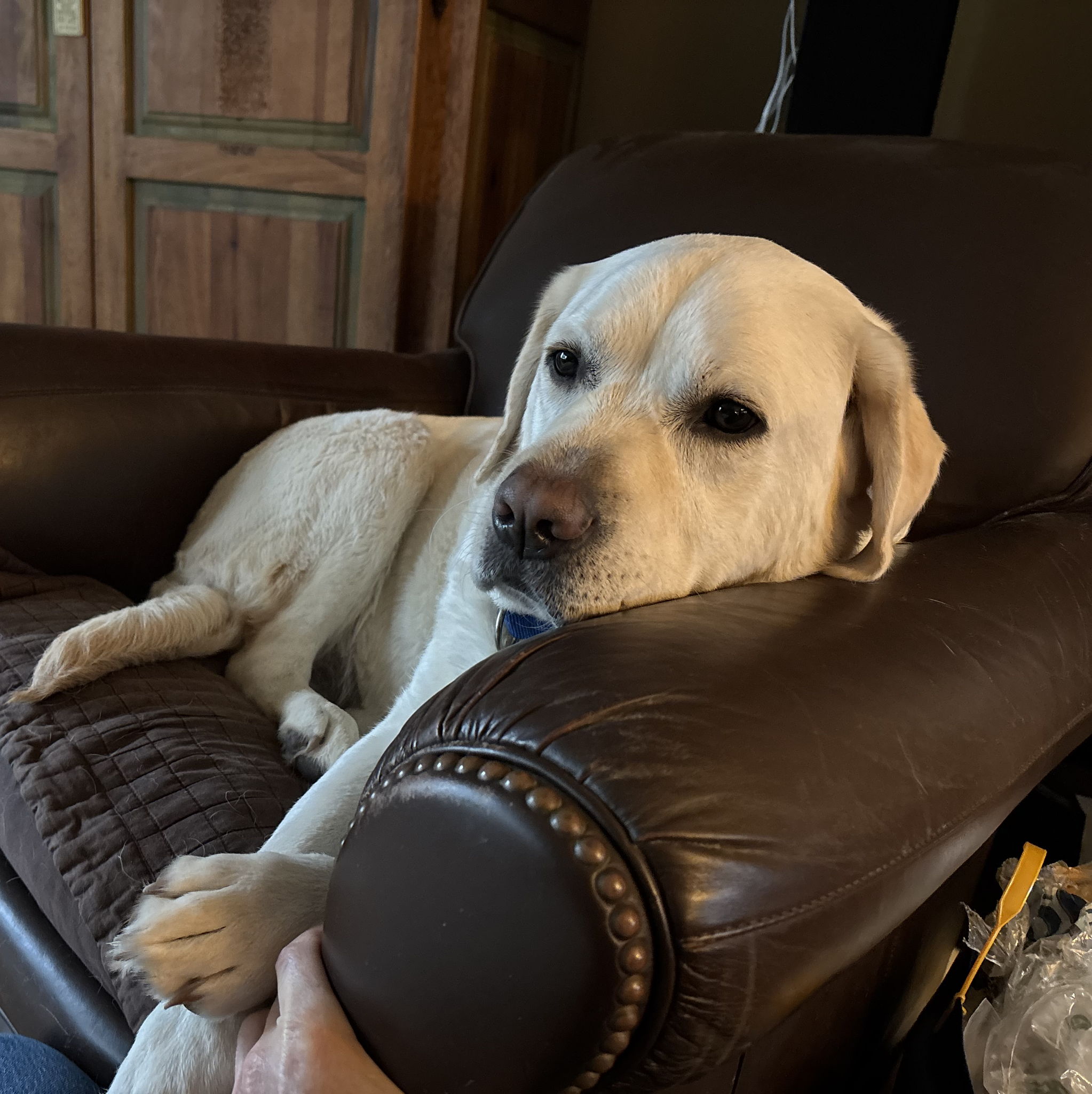 Profile of Michael Stein