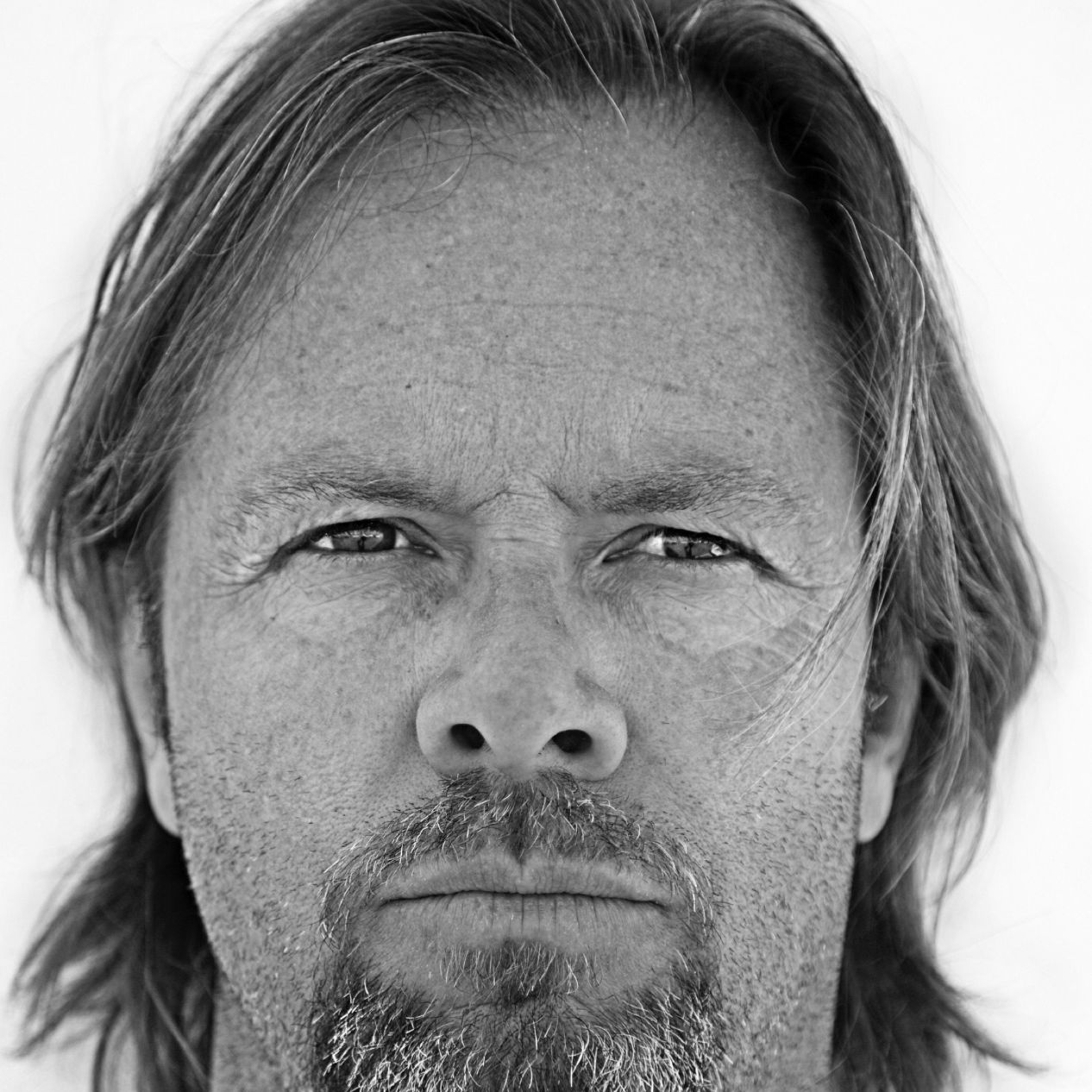 Profile of Dave B