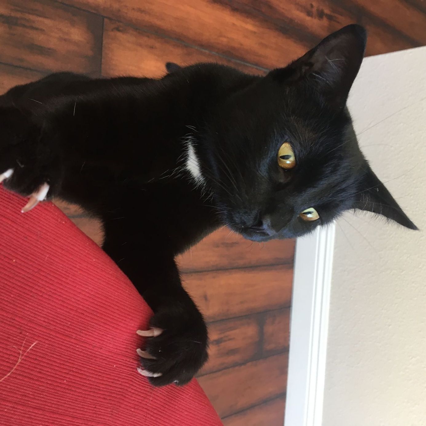 Profile of Thomas Crane