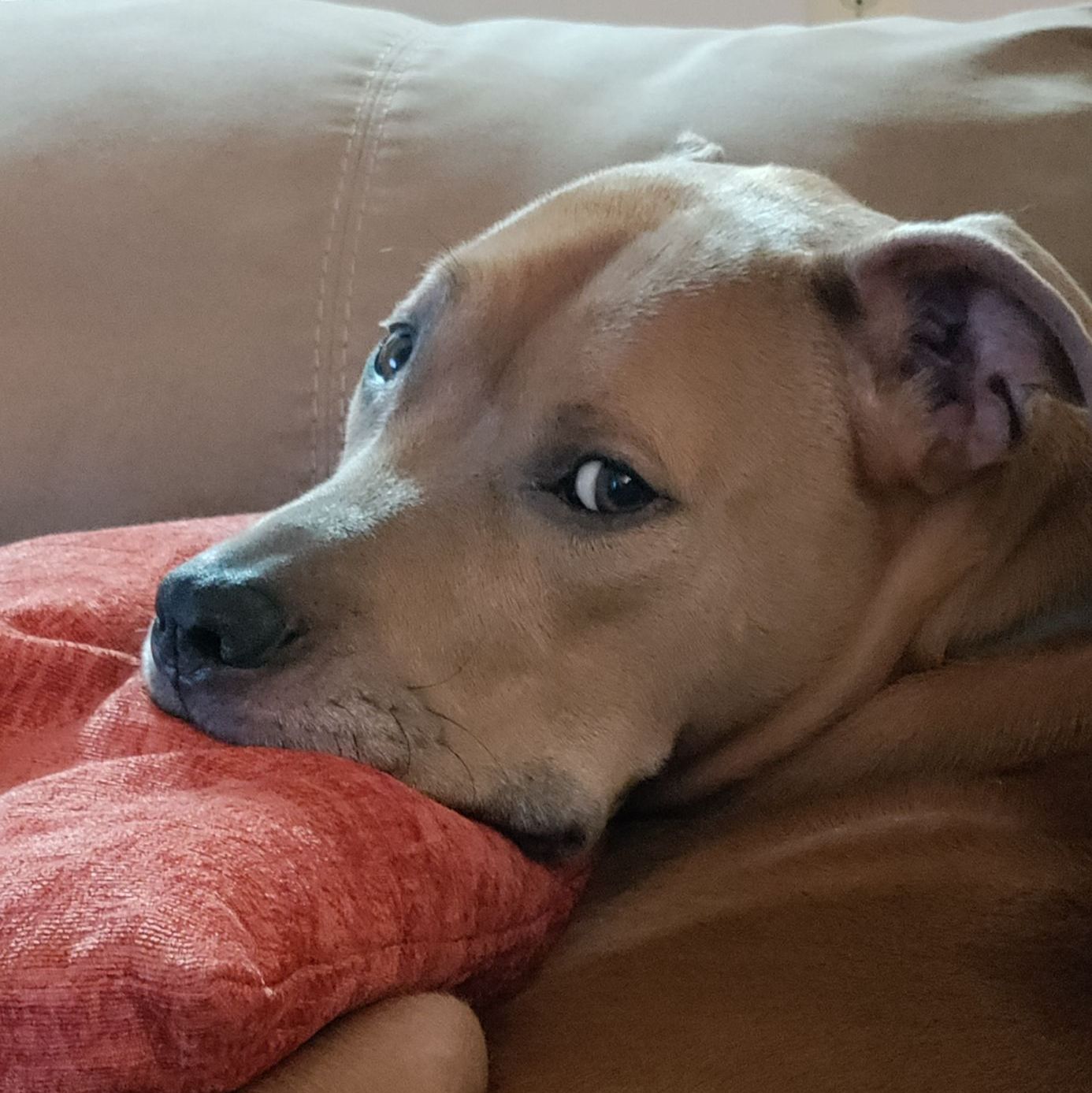 Profile of Kelly Lee