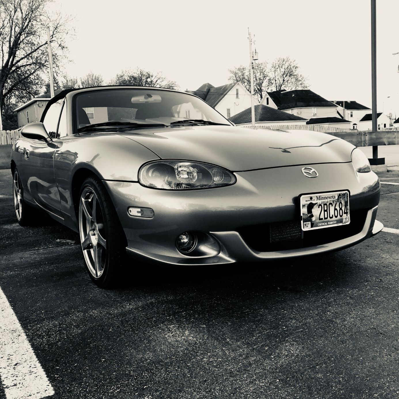 Profile of Steve Rasp