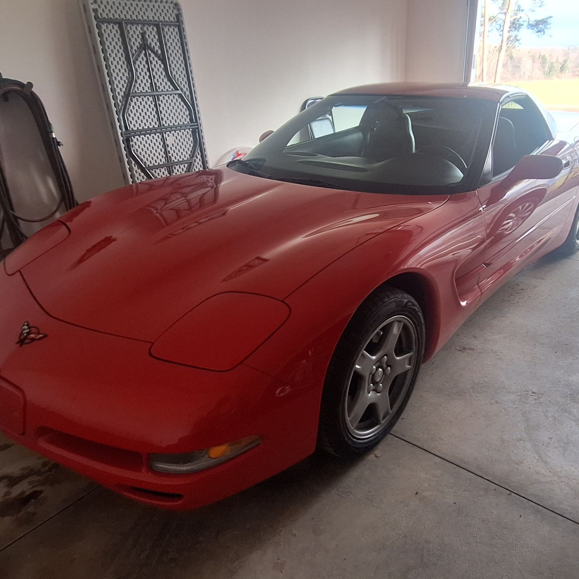 Profile of Daniel Thompson