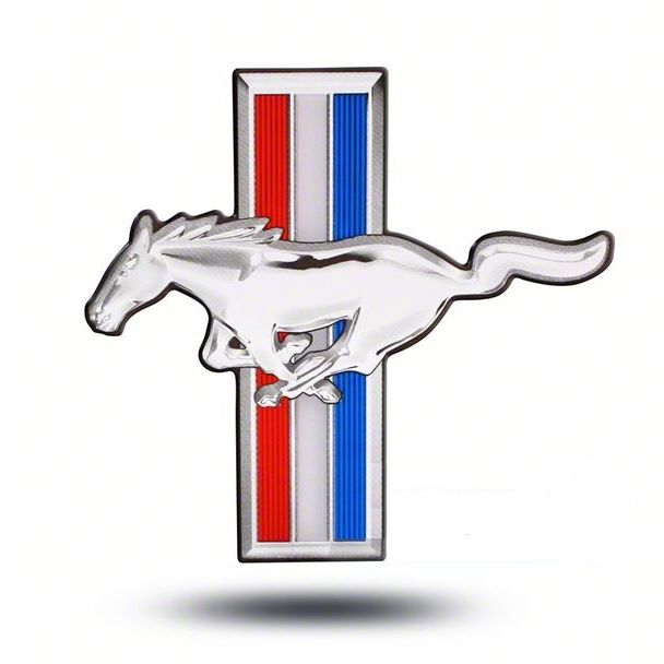 Profile of Steven Kron