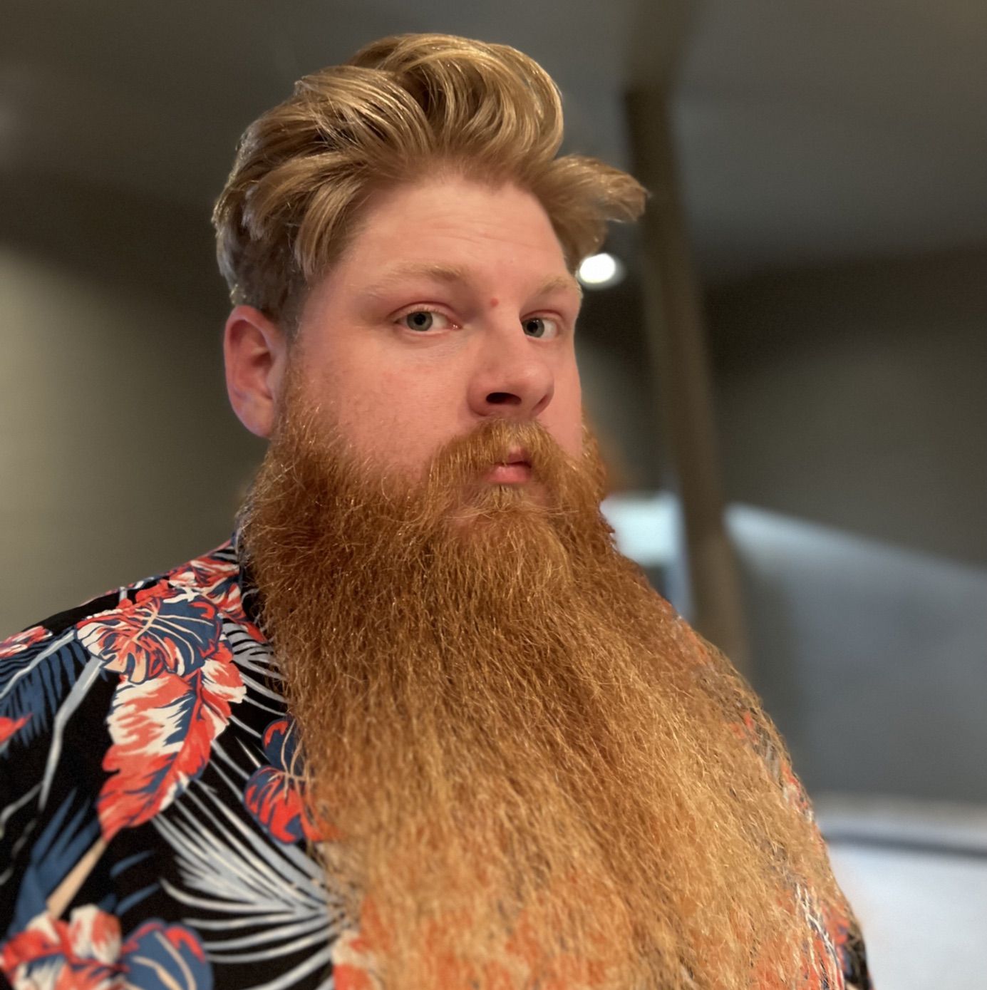 Profile of David Cholley