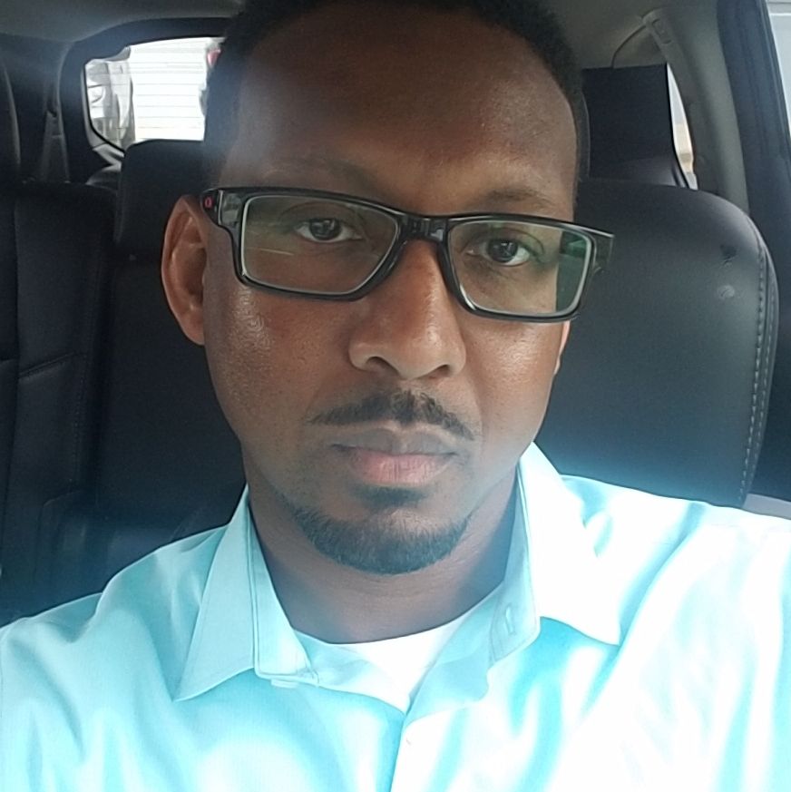 Profile of Stephen Holt