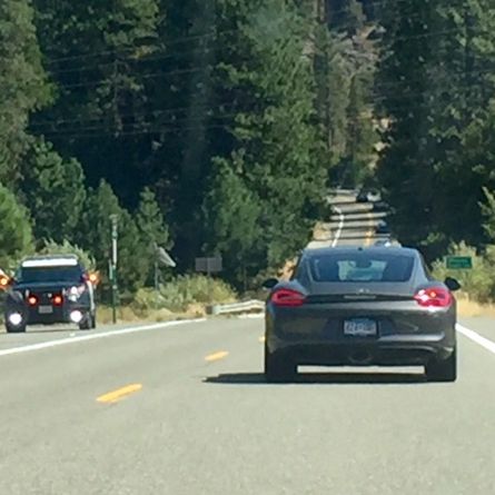 Profile of Mark Koegler