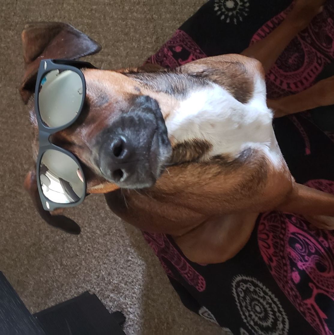 Profile of Christian McDonald