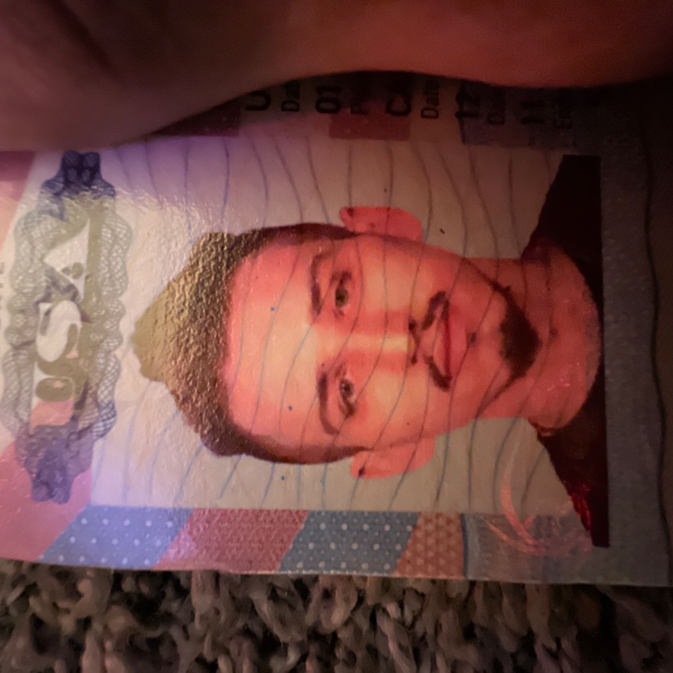 Profile of David Zubia