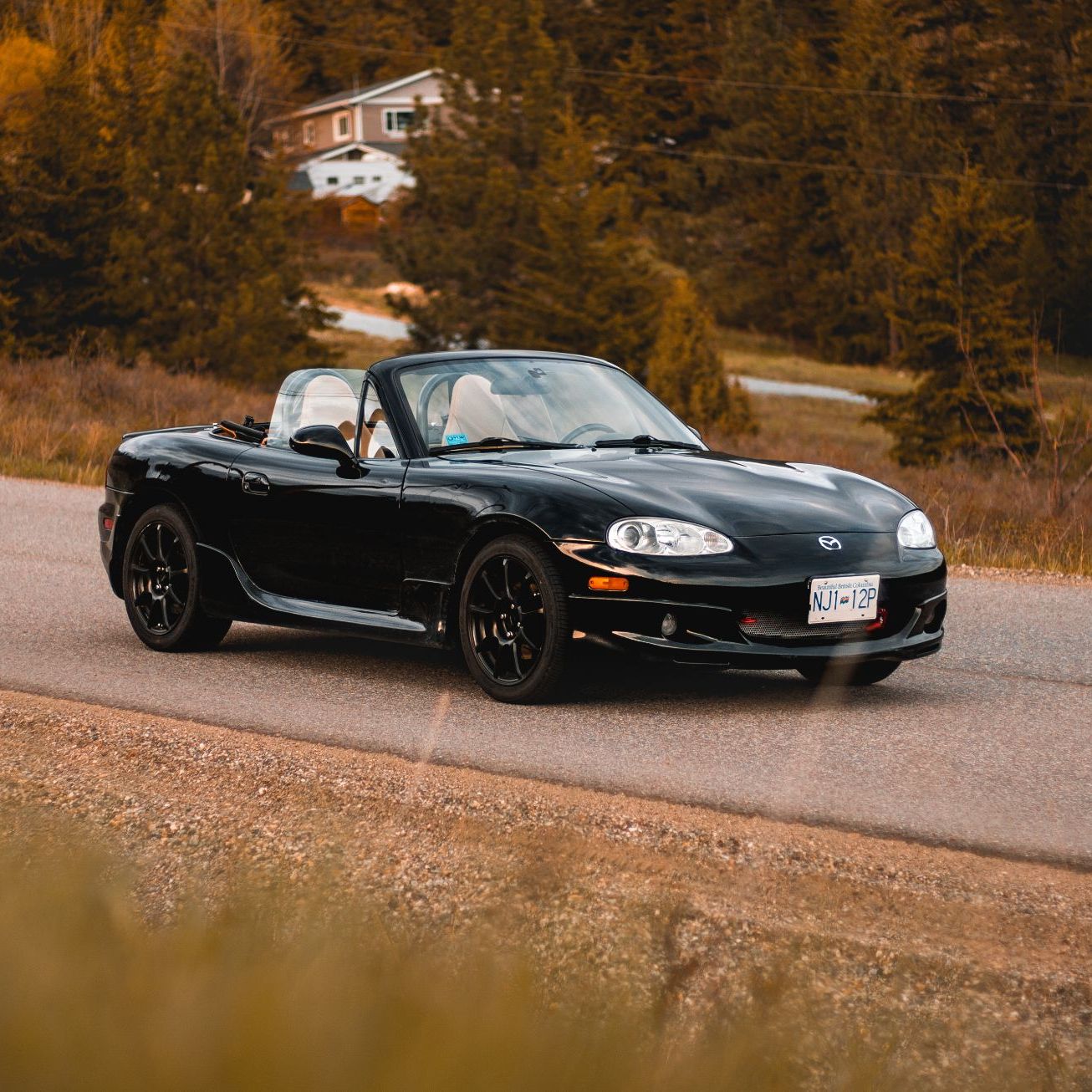 Profile of Colin Chatfield