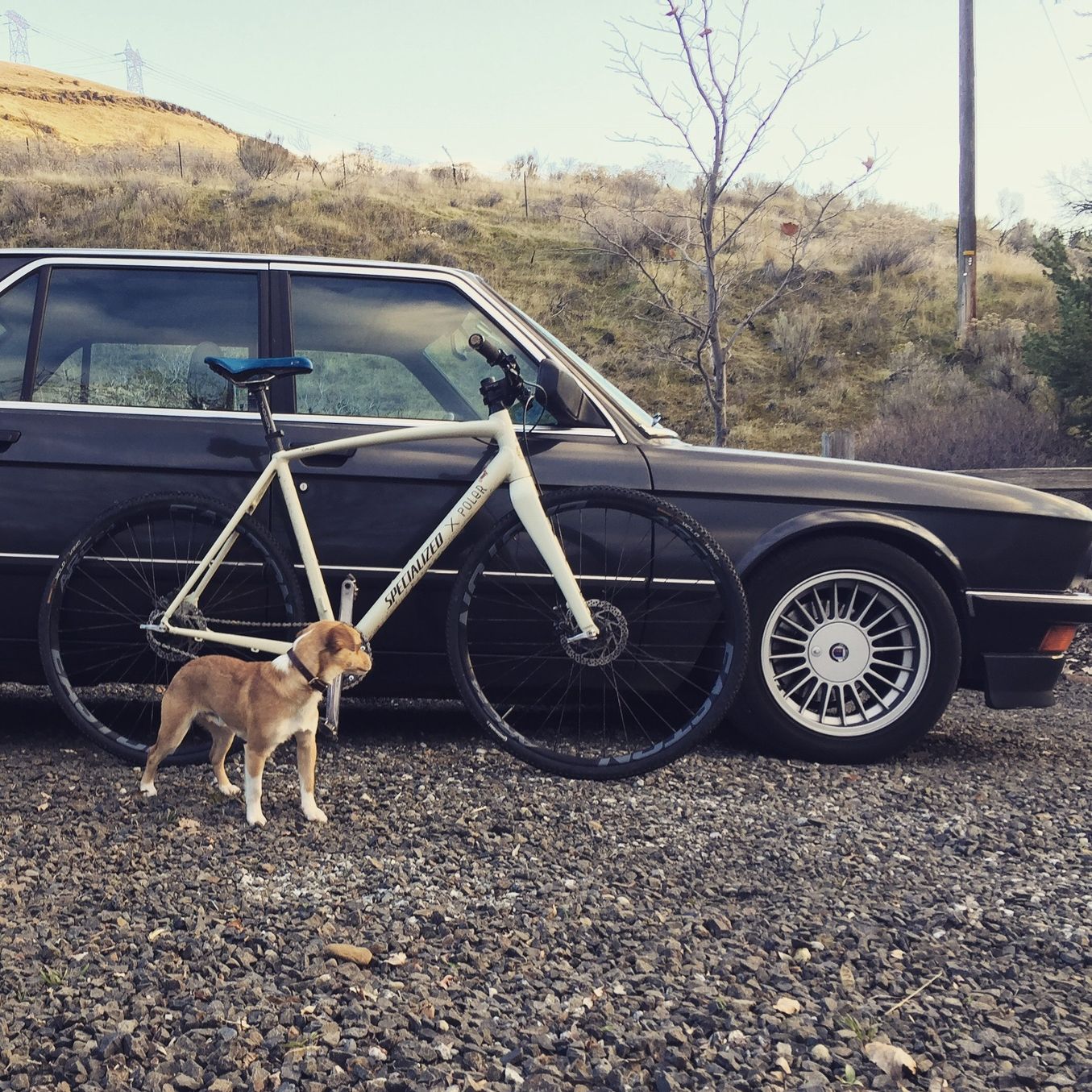 Profile of Landon Holt