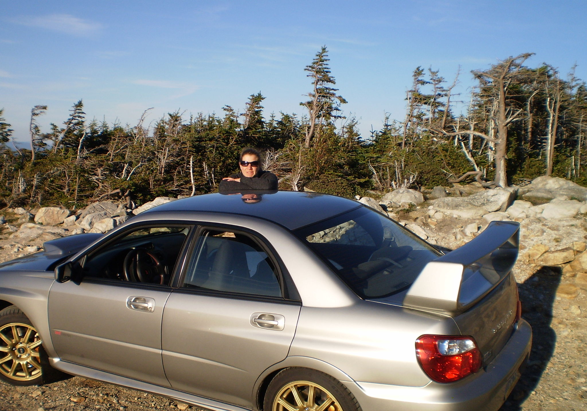 Profile of Lynn Foley