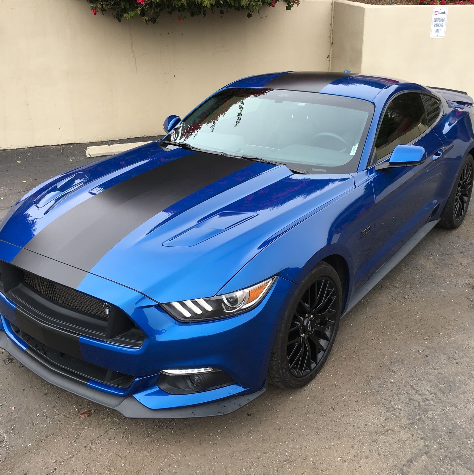 Profile of Brett Everling