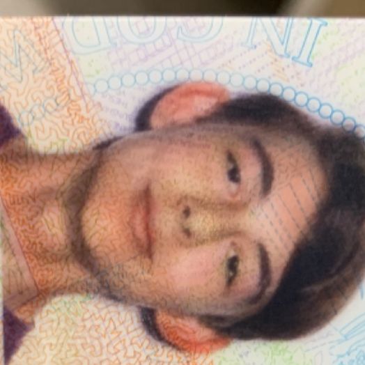 Profile of Braydon Roever