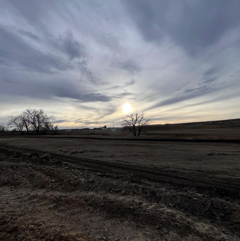 Profile of Trenton Torres