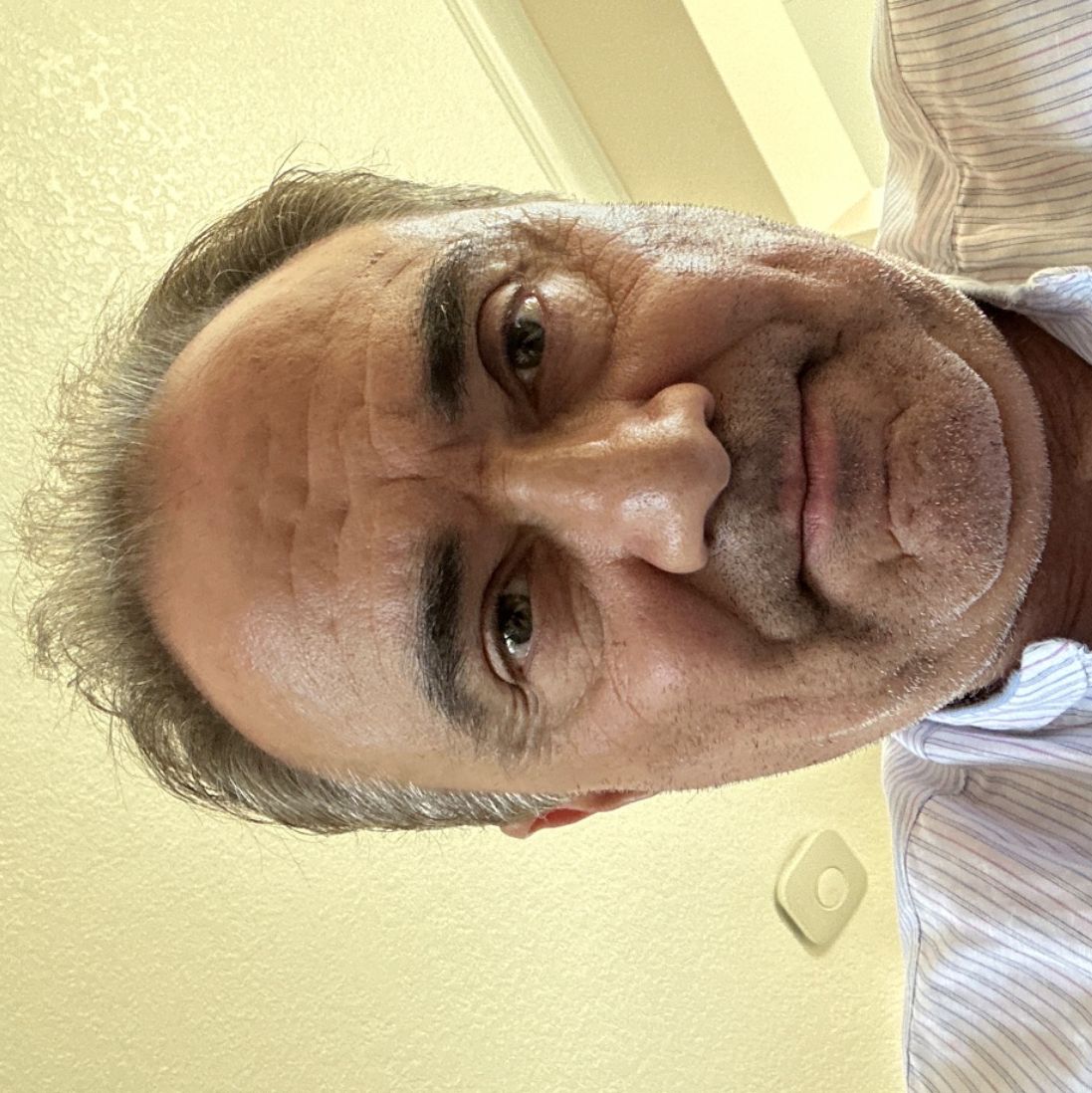 Profile of Safa Movassaghi