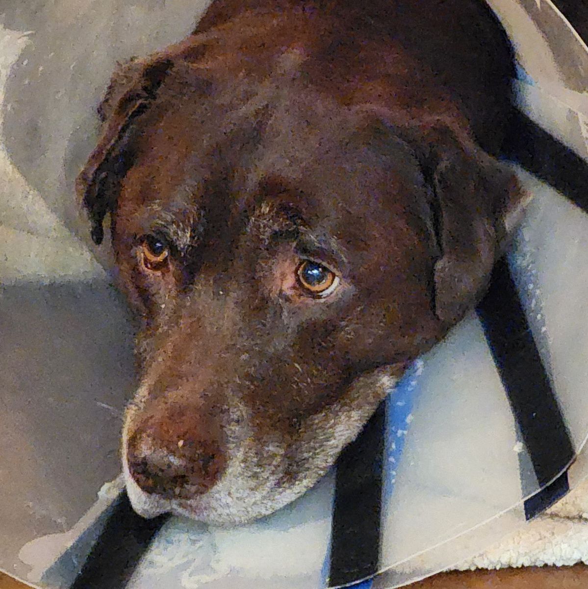 Profile of Ryan Payne