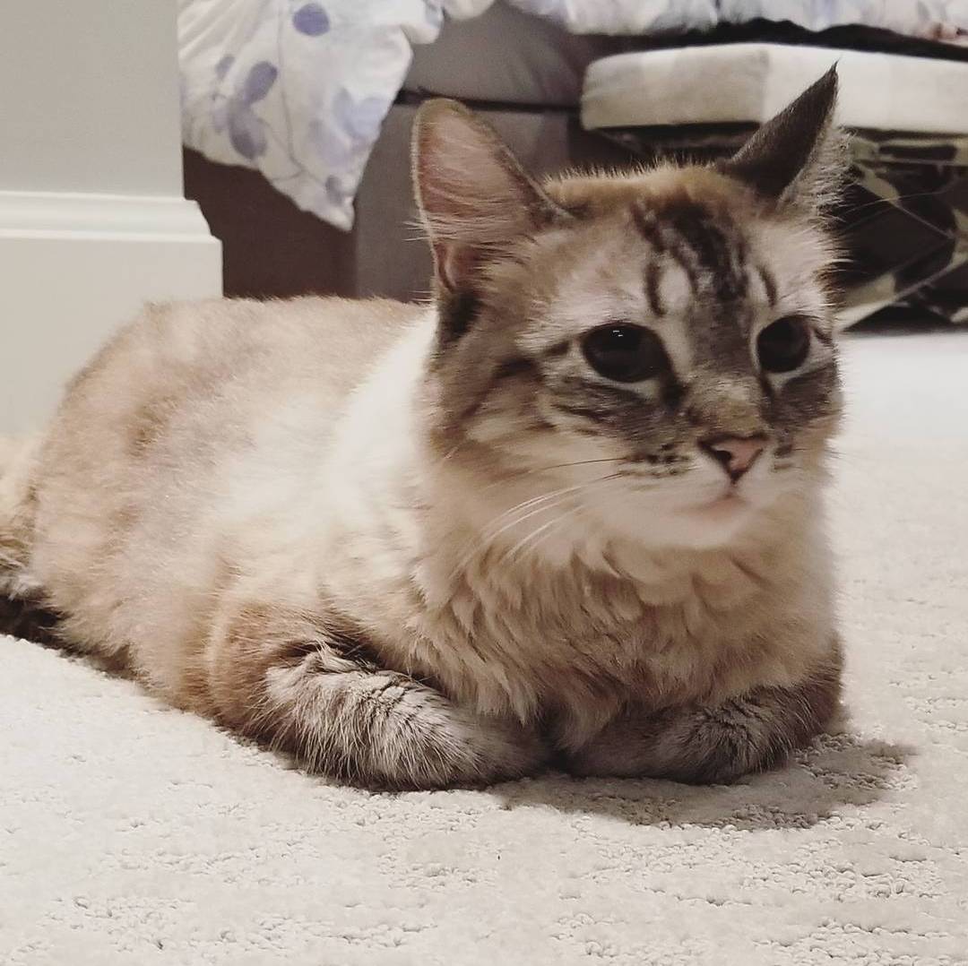 Profile of Jason Cheng