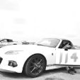Profile of Dan Estep