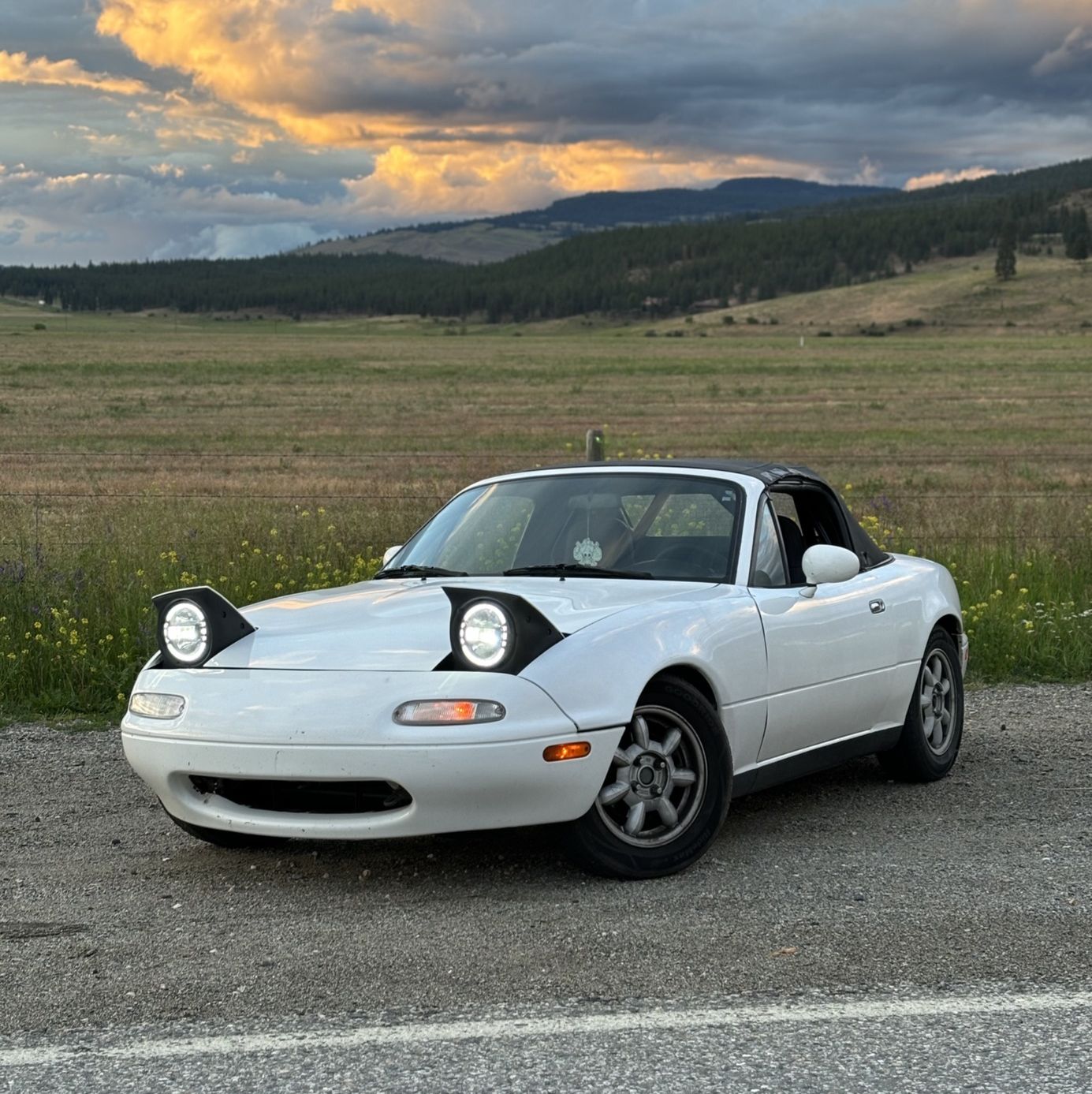 Profile of Luca Perini