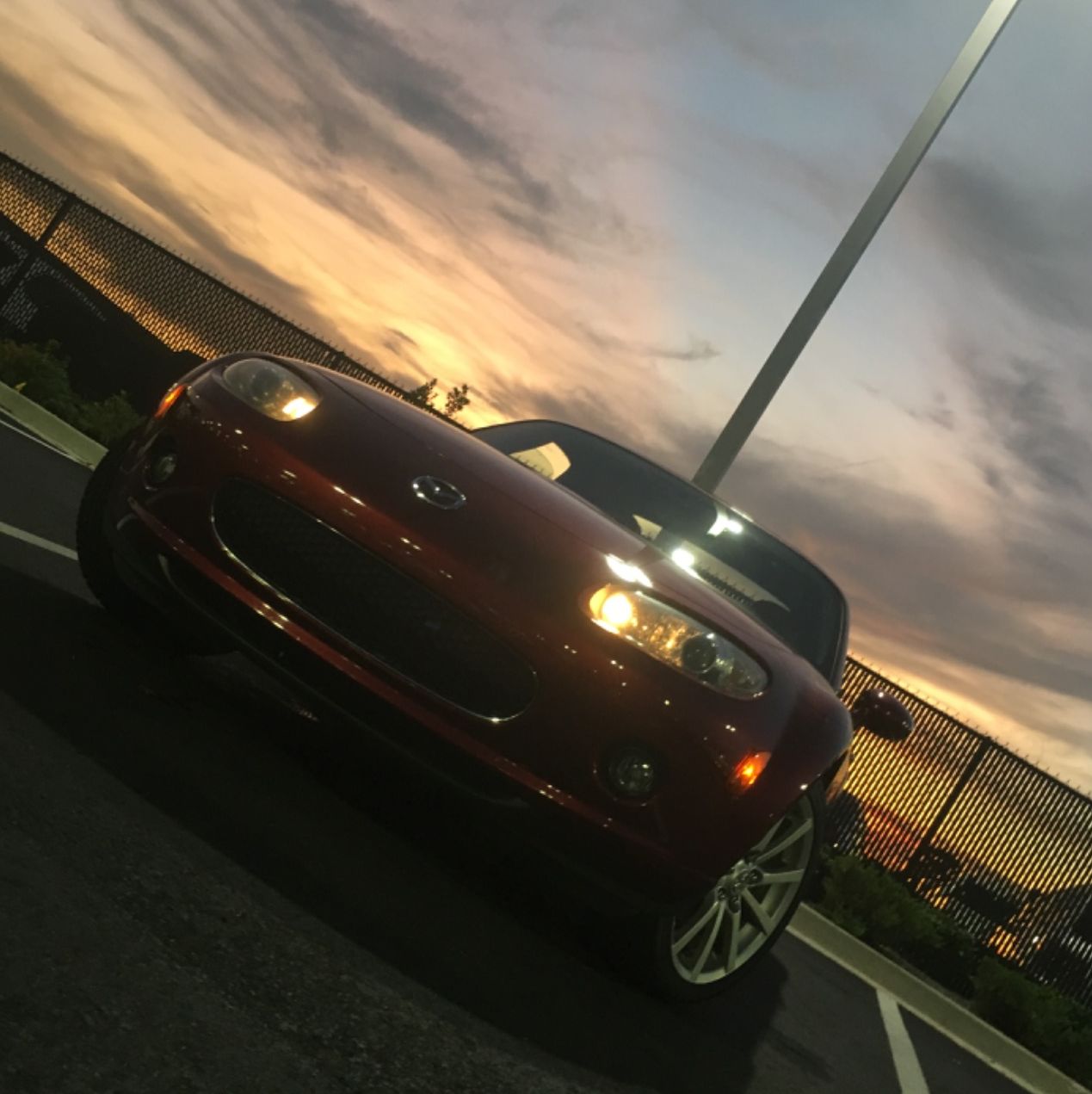 Profile of Ferris Sabatier