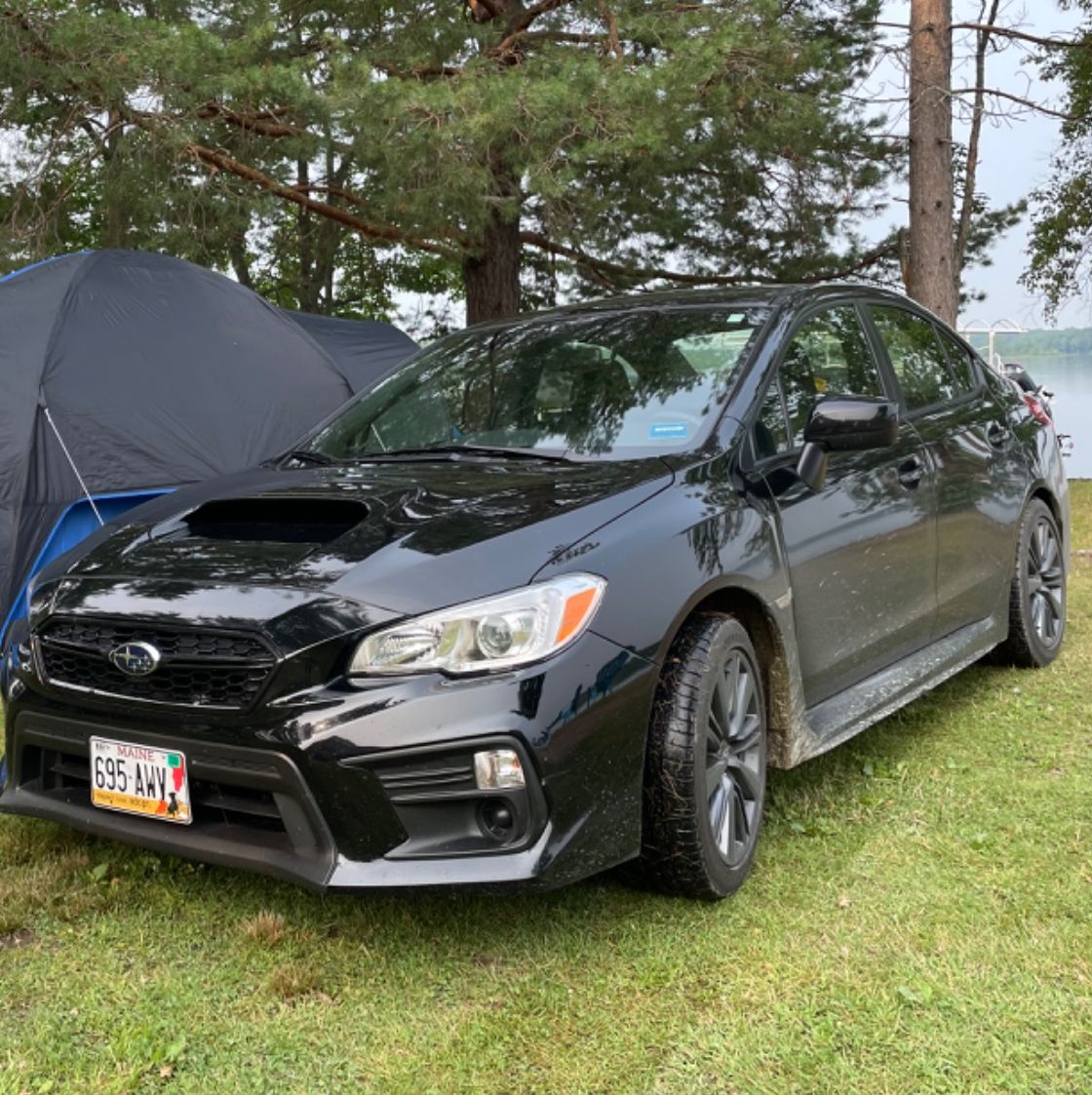 Profile of James Herrick