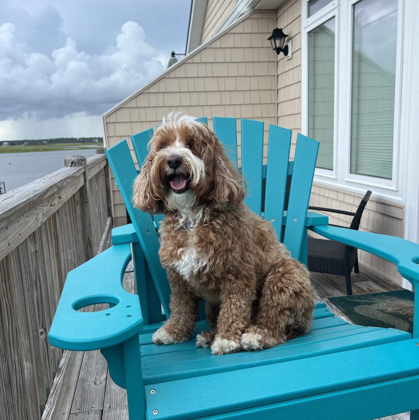 Profile of Molly Gwaltney